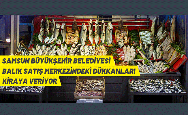 Samsun'da balık dükkanları kiraya verilecek
