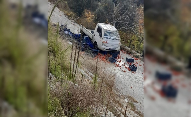 Alaşehir’de meyve yüklü kamyonet şarampole devrildi