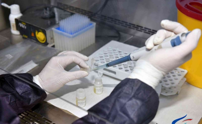 Covid-19 aşılarının antikor sonuçları karşılaştırıldı