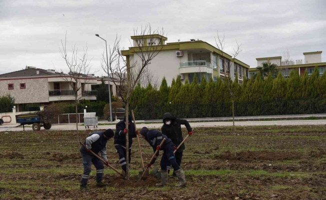 Yunusemre Belediyesi Muradiye’yi ağaçlandırıyor