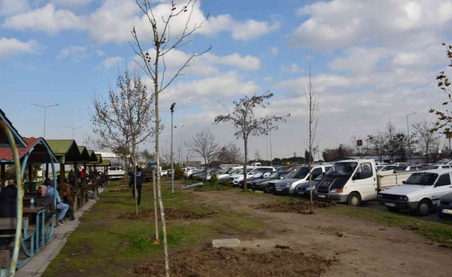 Yunusemre Belediyesinden Manisa CBÜ Hafsa Sultan Hastanesinde ağaçlandırma