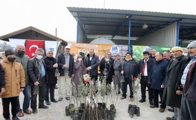 Yunusemre Belediyesinden üreticilere fidan ve kovan desteği