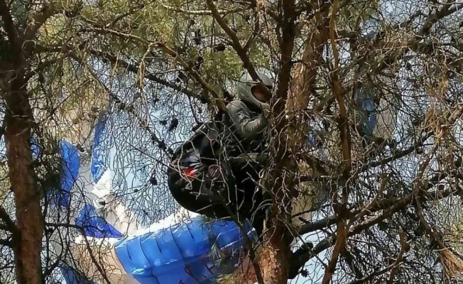 Manisa’da amatör paraşütçü ağaca asılı kaldı