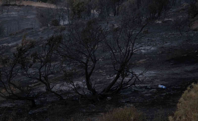 Akhisar’daki orman yangını devam ediyor