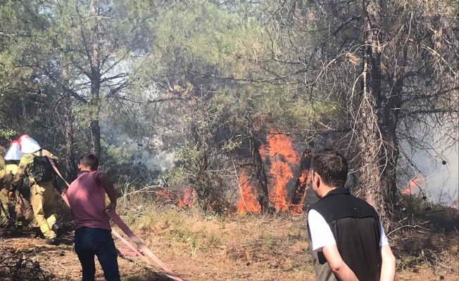 Manisa Gördes’teki orman yangınında ekipler seferber oldu