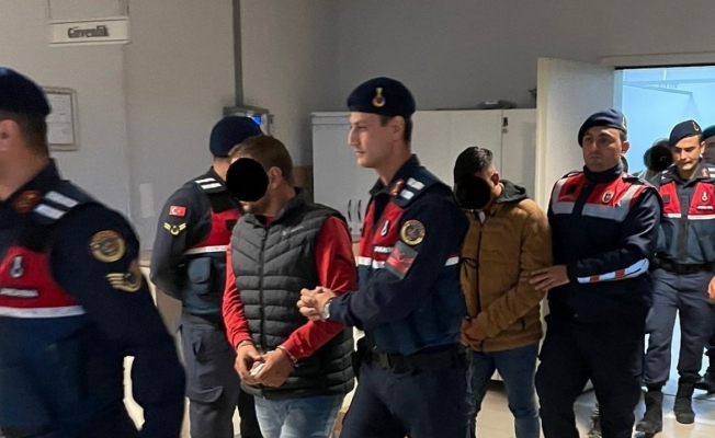 Kırkağaç’taki zeytin hırsızlığı şüphelisi 4 kişi tutuklandı