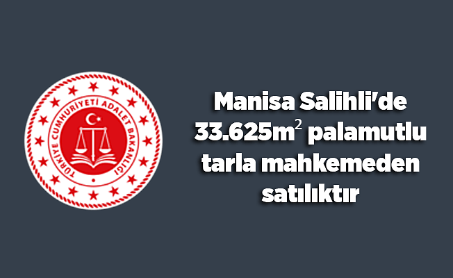 Manisa Salihli'de 33.625m² palamutlu tarla mahkemeden satılıktır