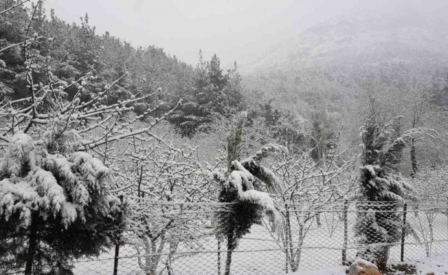 Yoğun kar yağışı nedeniyle Spil Dağı Milli Parkı’nın yolları kapandı