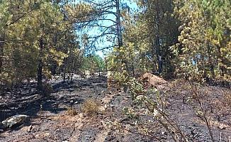 Manisa’da çıkan yangın 1 hektarlık orman arazisine zarar verdi