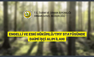Orman Genel Müdürlüğü 224 daimi işçi alacak