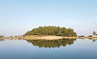 Marmara Gölü kurudu göçmen kuşlar rotayı Sülüklü Göle çevirdi
