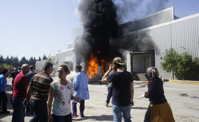 Manisa’da 400 kişinin çalıştığı işletmede yangın çıktı