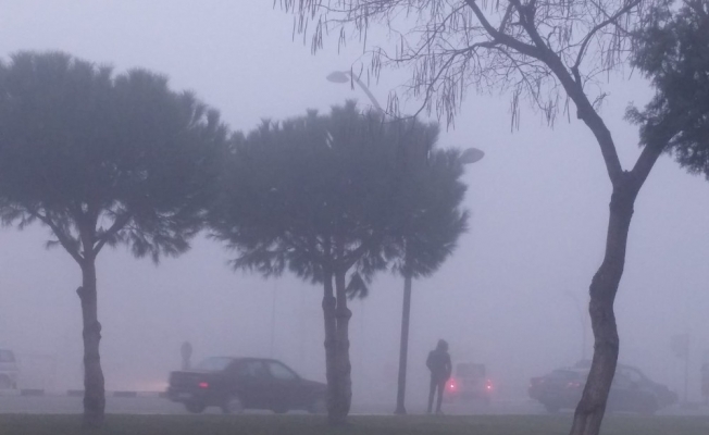 Manisa’da yoğun sis etkili oluyor
