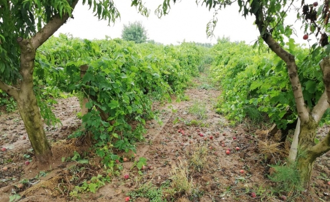 Turgutlu’da sağanak yağış tarım arazilerini vurdu
