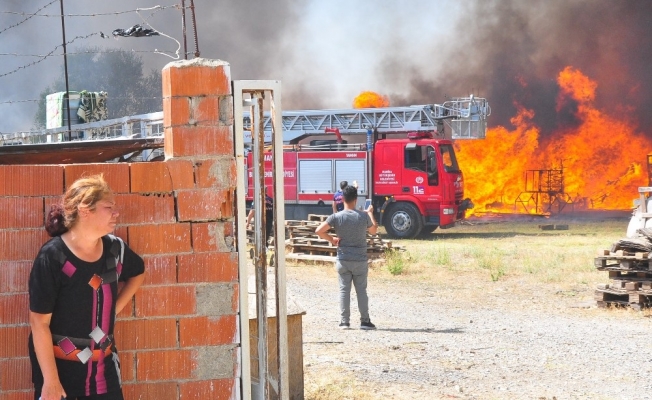 Manisa’da ot yangını palet fabrikasını küle çevirdi