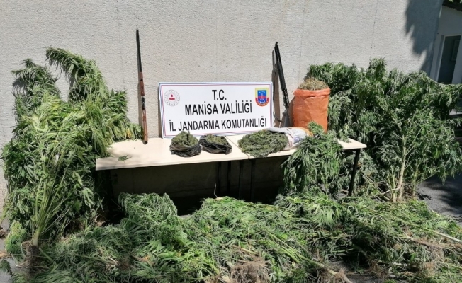 Manisa’da uyuşturucu operasyonu: 1 gözaltı