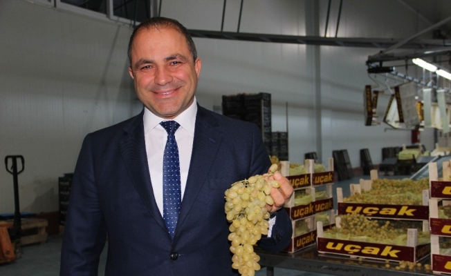 Manisa’dan 32 ülkeye Sultaniye üzüm ihracatı