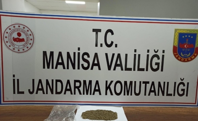 Manisa’da jandarmadan uyuşturucu operasyonu