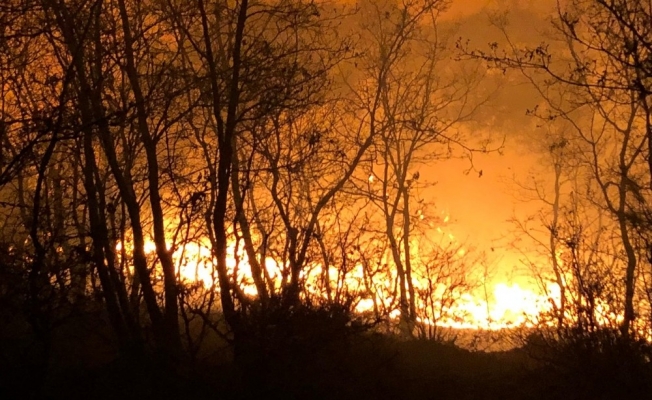 Manisa’da orman yangını büyümeden söndürüldü