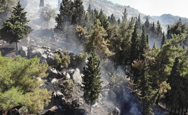 Manisa Spil Dağı’nda çıkan yangın kontrol altına alındı