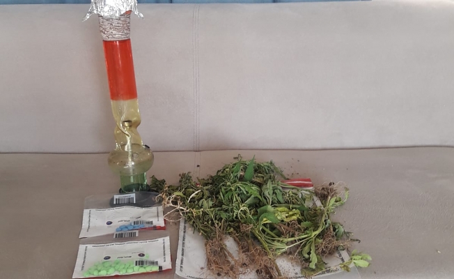 Spil Dağı Sultan Yaylası'nda uyuşturucu operasyonu