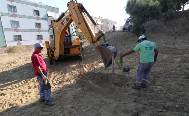 Turgutlu Belediyesi ekiplerinden yol ve ağaçlandırma çalışması