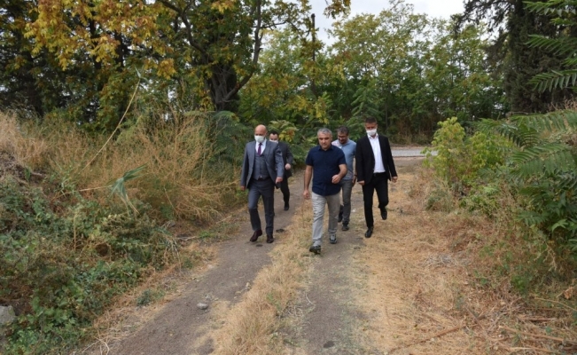 Manisa Büyükşehir Belediyesi ortak projeyle 100 bin ağaç yetiştirecek
