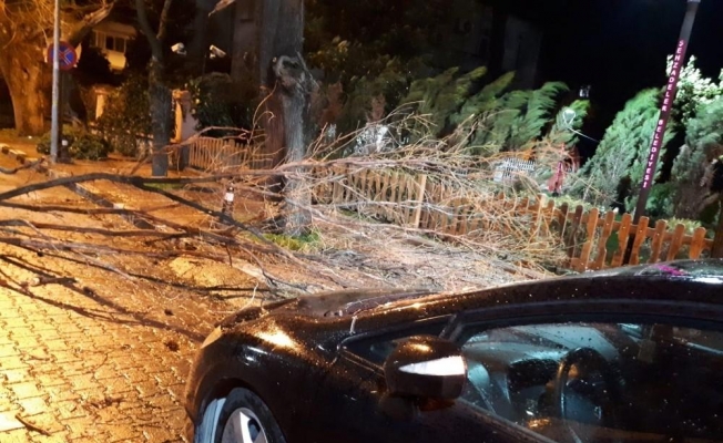 Manisa’da fırtına ağaçları devirdi çatıları uçurdu