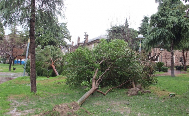 Manisa’daki fırtınanın hasarı gün ağarınca ortaya çıktı