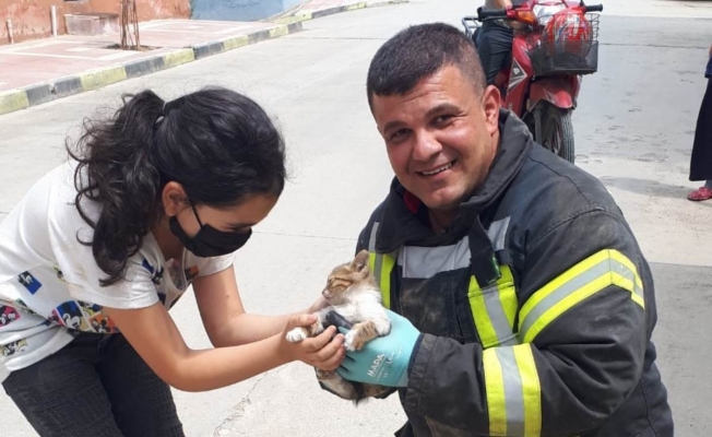 Araçta mahsur kalan yavru kedi kurtarıldı