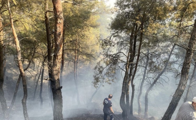 Manisa Büyükşehir Selçikli yangını için seferber oldu