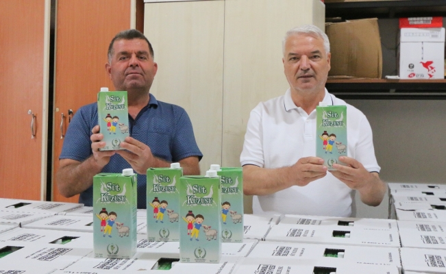 Saruhanlı Belediyesinin ’Süt Kuzusu’ Projesi başladı