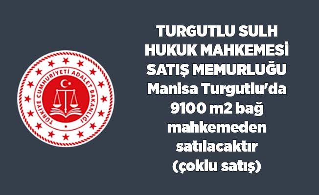 Manisa Turgutlu'da 9100 m2 bağ mahkemeden satılacaktır(çoklu satış)