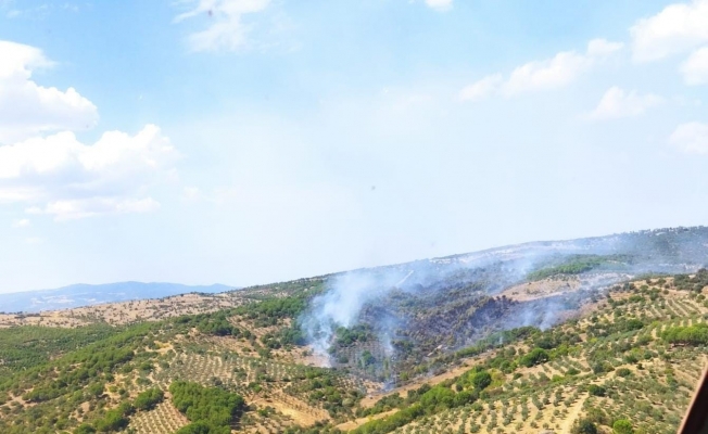 Manisa’da çıkan orman yangını kontrol altında