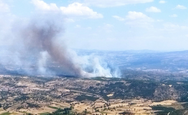 Manisa’da ormanlık alanda yangın
