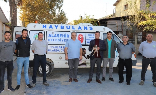 Alaşehir Belediyesinden sokak hayvanları için ’Haybulans’ hizmeti