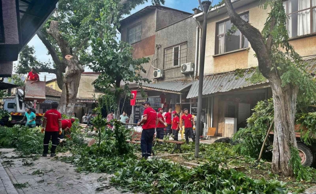 Akhisar’da fırtına etkili oldu, ağaç devrildi, çatılar uçtu