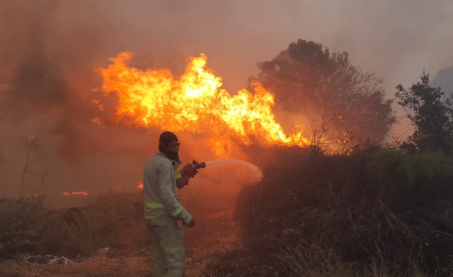 Manisa’daki orman yangını büyüdü, 20 ev boşaltıldı, 40 kişi tahliye edildi