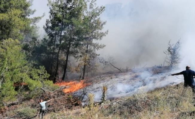 Manisa’daki orman yangınında ekip sayısı artırılıyor