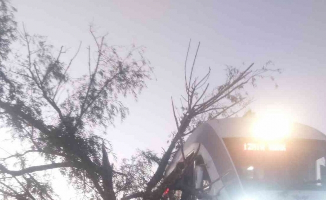 Alaşehir’de tren raylarına ağaç devrildi