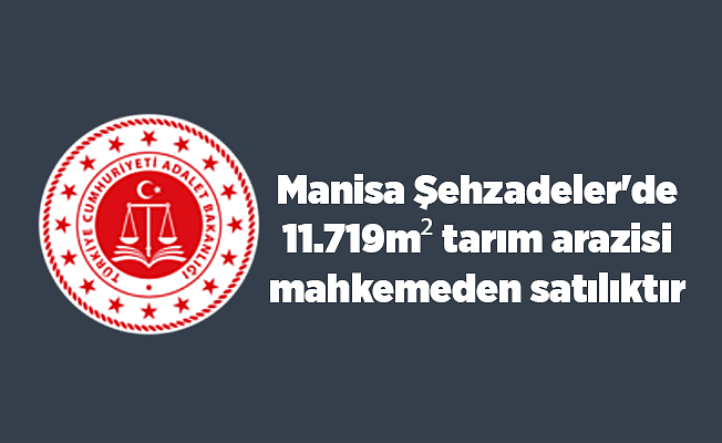 Manisa Şehzadeler'de 11.719m² tarım arazisi mahkemeden satılıktır