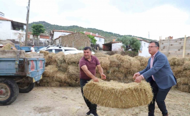 Alaşehir Belediyesi kırsal mahallerde saman dağıttı