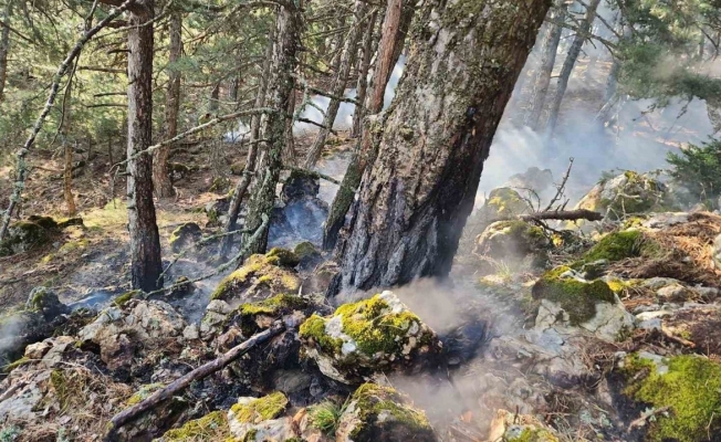 Spil Dağı’na düşen yıldırım orman yangını çıkardı