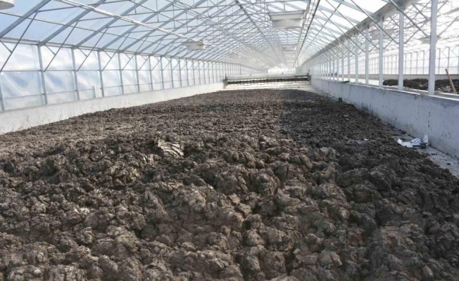 Manisa’da 35 bin ton arıtma çamuru bertaraf edildi